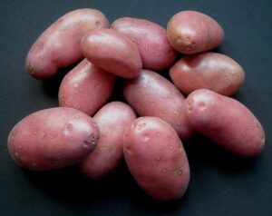 Pink Potato