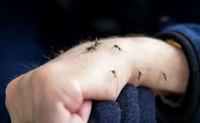 Home Remedies To Get Rid Of Mosquitoes