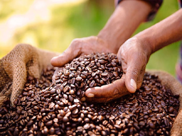 Coffee Production Process