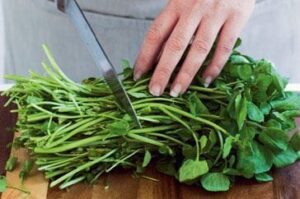 Watercress Benefits in Hindi