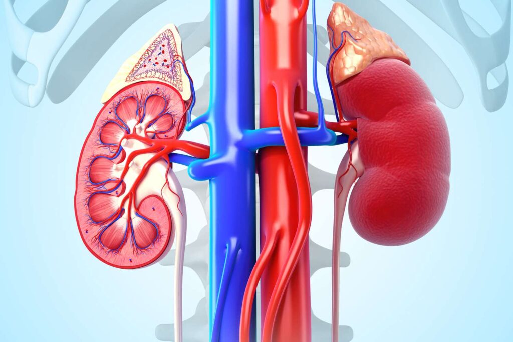 Creatinine Increase Problem